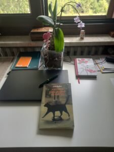 Vietato l’ingresso ai gatti