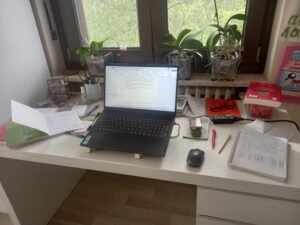 Notiziario di Mezzo Mese N.2 – Giugno