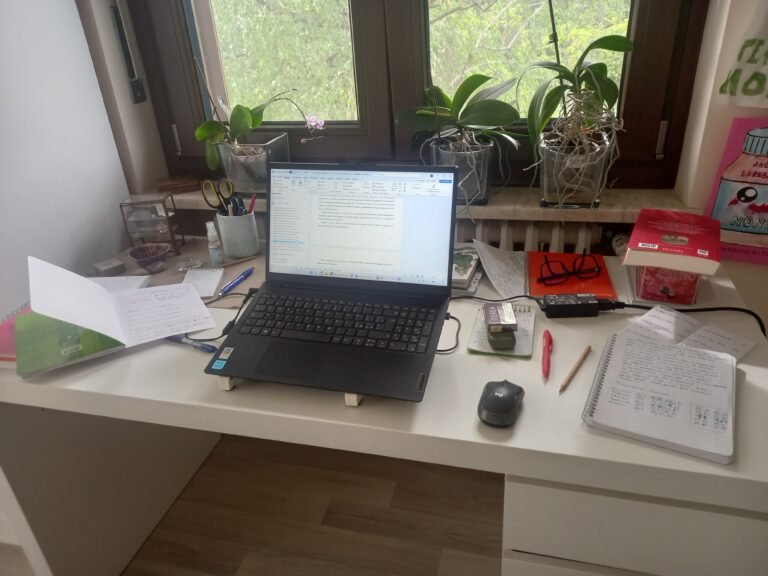 Notiziario di Mezzo Mese N.2 – Giugno